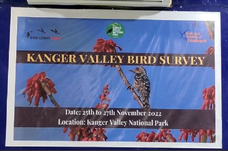 कांगेर वैल्ली नेशनल पार्क में शुरू हुआ पक्षी सर्वेक्षण, देश के अलग-अलग राज्यों से पहुंचे विशेषज्ञ