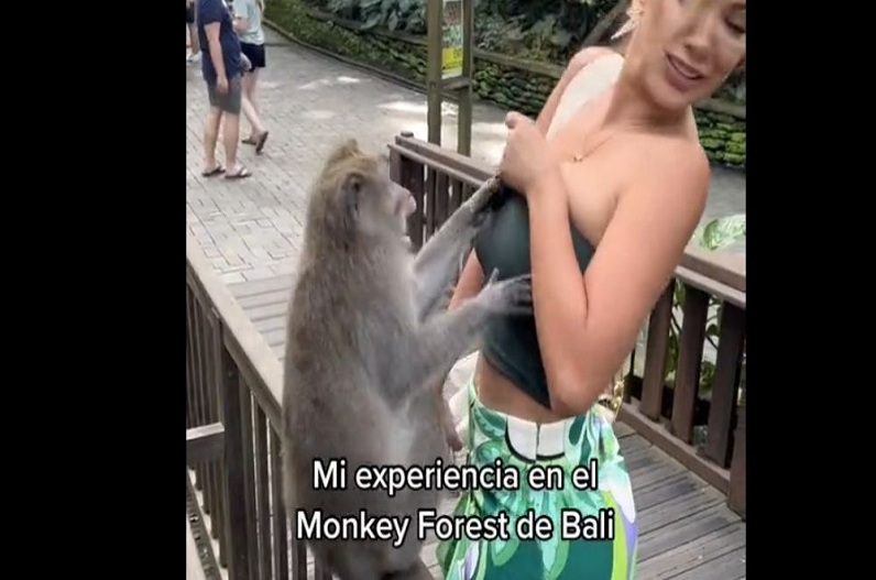 monkey-did-dirty-act-with-model-woman-started-stopping-then-did-such-a-scandal