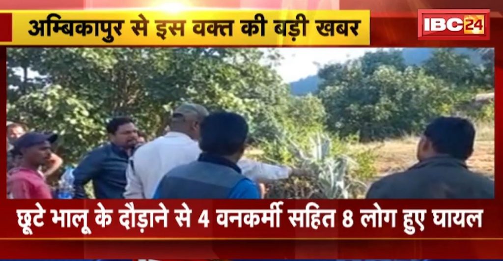 Ambikapur Bear Attack News
