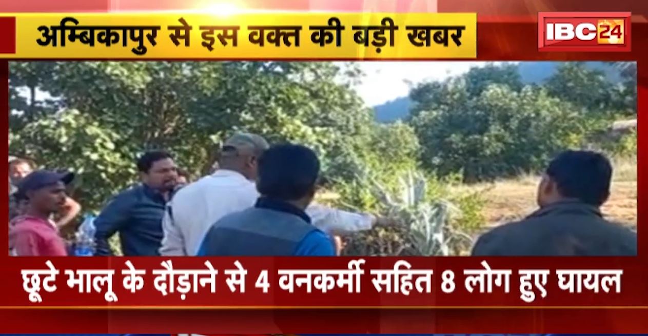 Ambikapur Bear Attack News: खोंधला पहाड़ में शिकारियों के तार में फंसे 3 भालू। 1 भालू ने छूटकर लोगों को दौड़ाया। 4 वनकर्मी सहित 8 लोग हुए घायल