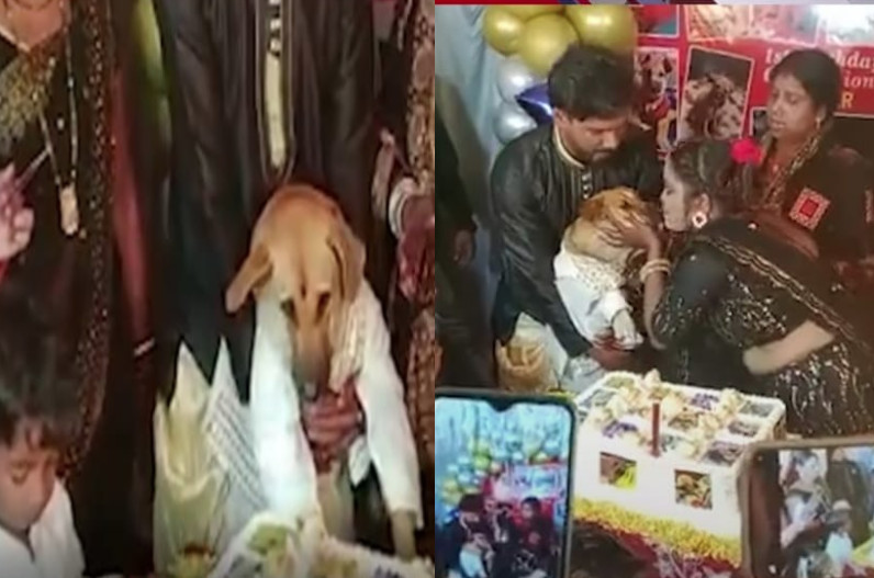 350 people reached to Dog's birthday party: