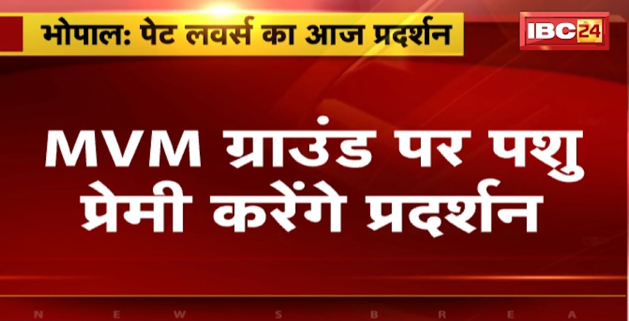 राजधानी में दो कुत्तों को जिंदा जलाकर मारने का मामला। विरोध में पशु प्रेमी आज करेंगे प्रदर्शन