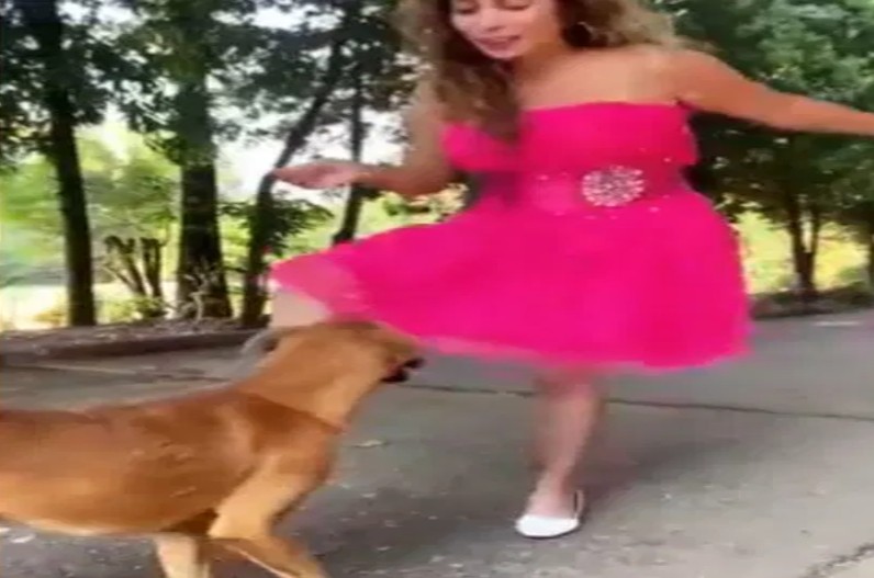Dog Kicking Girl video Apology