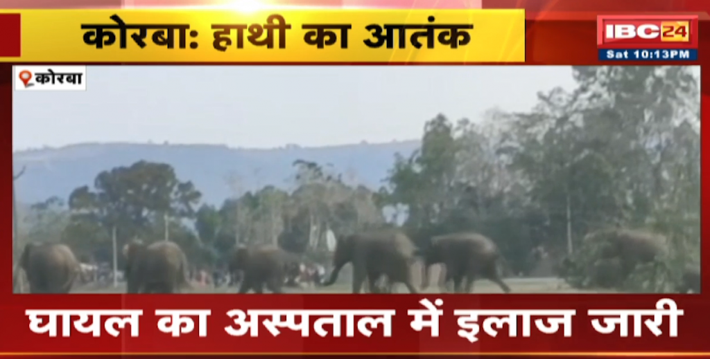 Elephant Attack in Korba