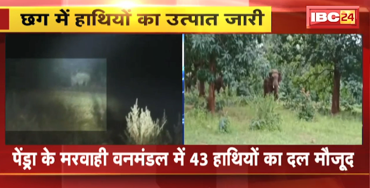 Elephant violence continues in Chhattisgarh