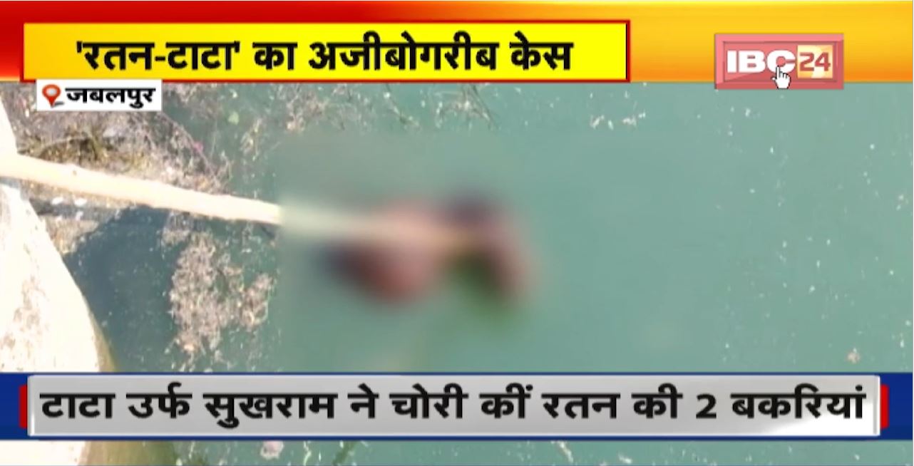 Jabalpur Crime News : ‘रतन-टाटा’ का अजीबोगरीब केस। विवाद में गई 2 बकरियों की जान। देखिए पूरा मामला