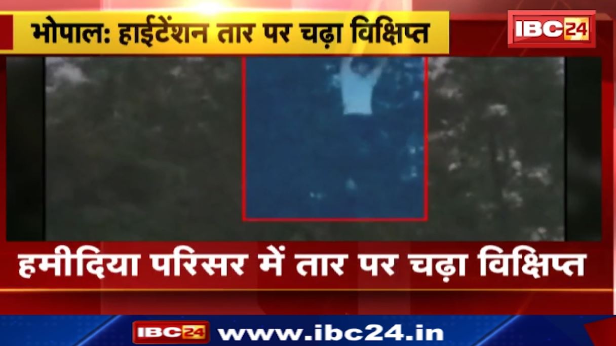 हमीदिया परिसर में हाईटेंशन तार पर चढ़ा विक्षिप्त। हमीदिया अस्पताल में विक्षिप्त का चल रहा इलाज। देखिए..