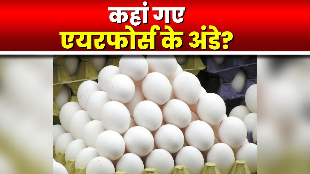 Gwalior Crime News : वायुसेना एयरबेस पर सप्लाई होने थे अंडे | आटो चालक लेकर भागा