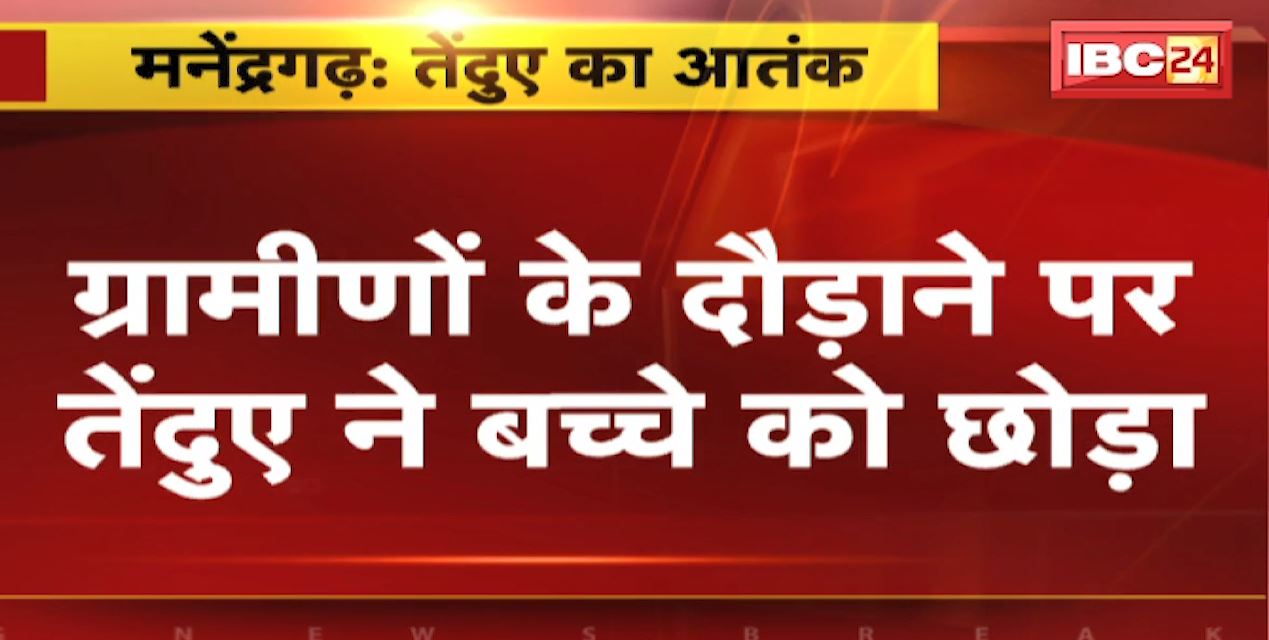 मनेंद्रगढ़ के कुंवारपुर में तेंदुए से दहशत। 8 साल के बच्चे ले जा रहा था तेंदुआ। ग्रामीणों के दौड़ाने पर तेंदुए ने बच्चे को छोड़ा