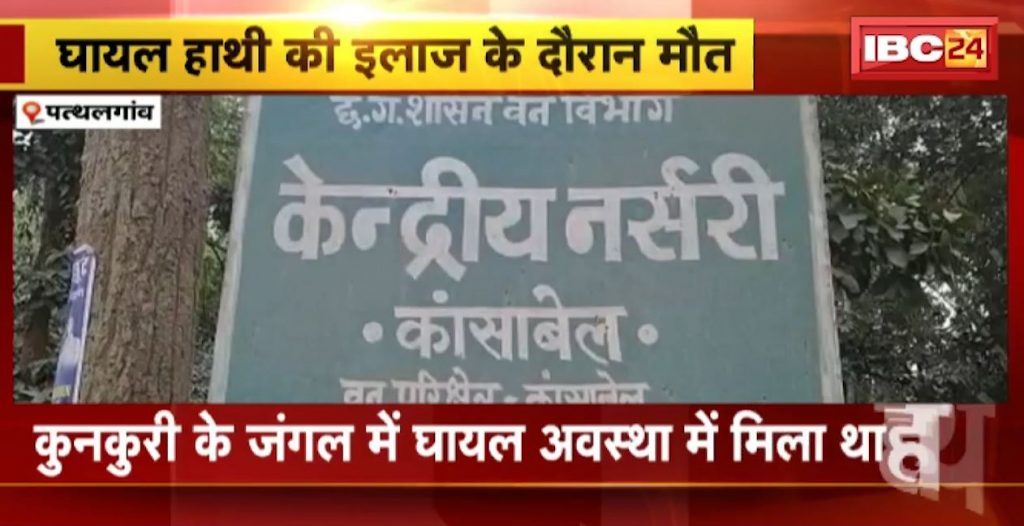 Pathalgaon Elephant News