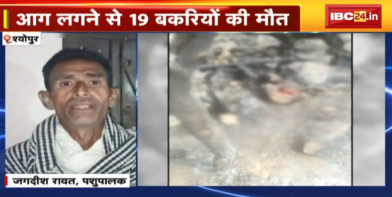 Sheopur Fire News Today : 7 झोपड़ियों में लगी आग । आग लगने से 19 बकरियों की मौत