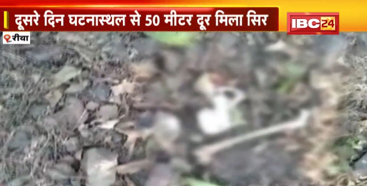 दामोदरगढ़ में झाड़ियों के बीच मिला नरकंकाल। पुलिस ने बरामद किए नरकंकाल के कुछ हिस्से। दूसरे दिन घटनास्थल से 50मीटर दूर मिला सिर