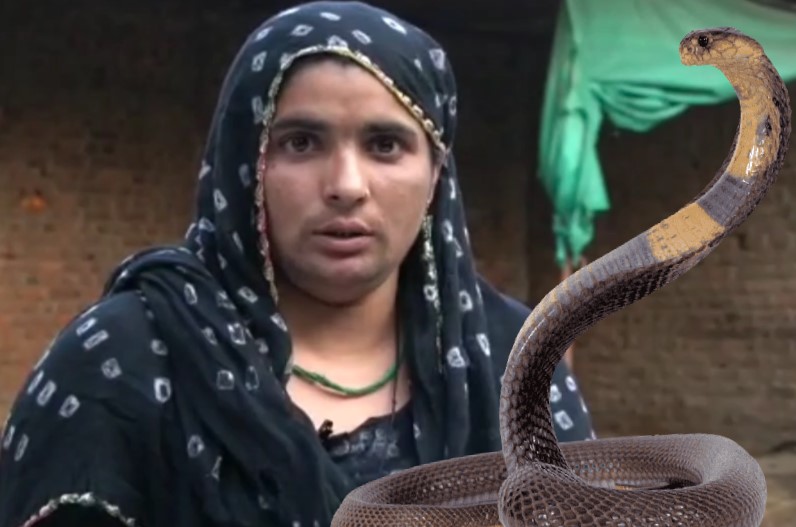 Husband wife bitten snake