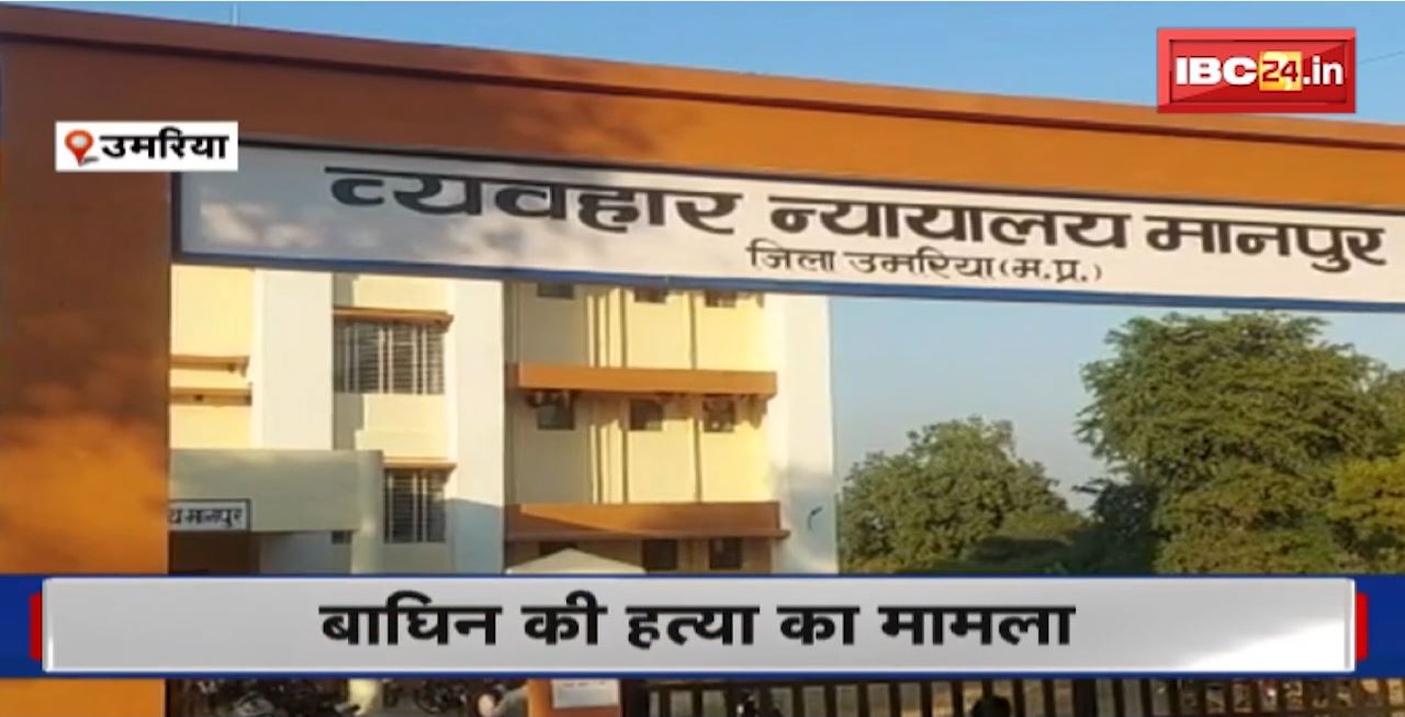 Umaria Tigress Murder Case : परिवाद मामले में वन सरंक्षक को सजा। झूठी गवाही के लिए दबाव बनाने का आरोप