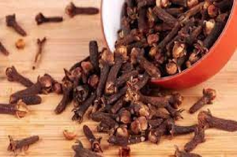 सर्दियों में लौंग खाना है बहुत फायदेमंद, रोज खाएं एक लौंग, काबू में हो जाएंगी कई बीमारियां
