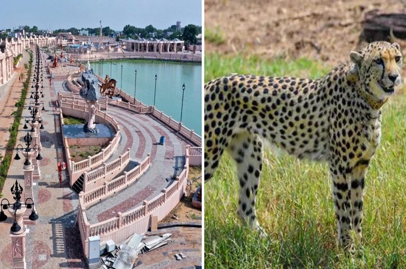 From the cheetahs brought from Namibia to the inauguration of Mahakal Lok, Madhya Pradesh remained in discussion