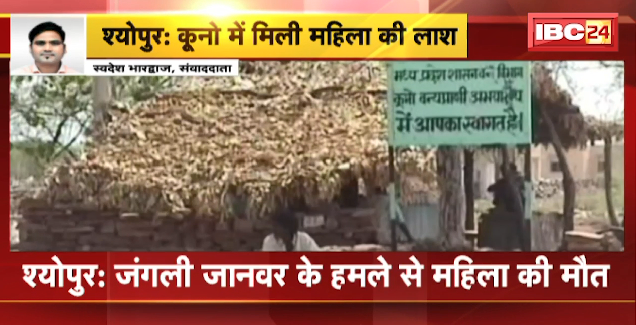 Kuno National Park में मिली महिला की लाश। जंगली जानवर के हमले से हुई मौत। पुलिस को PM रिपोर्ट का इंतजार