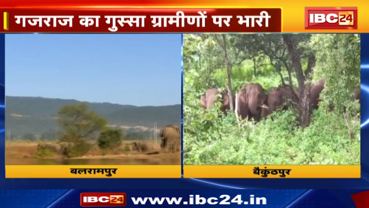 elephant attack news in chhattisgarh