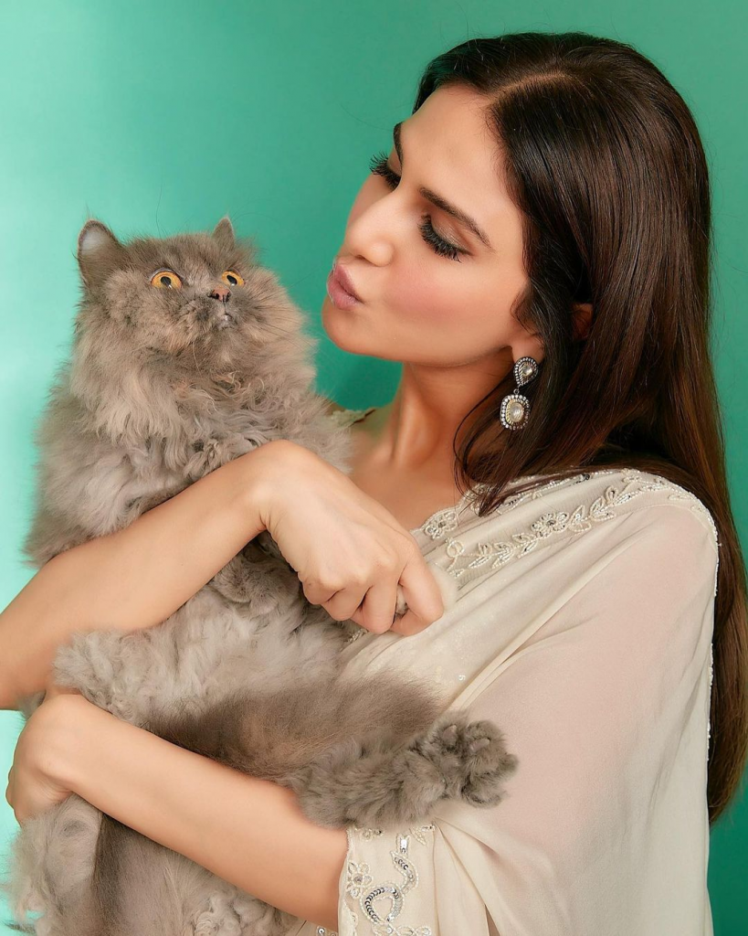 शूटिंग देखने के बाद वाणी ने निश्चय कर लिया कि वे अब अपना करियर फिल्मों में बनाएंगी