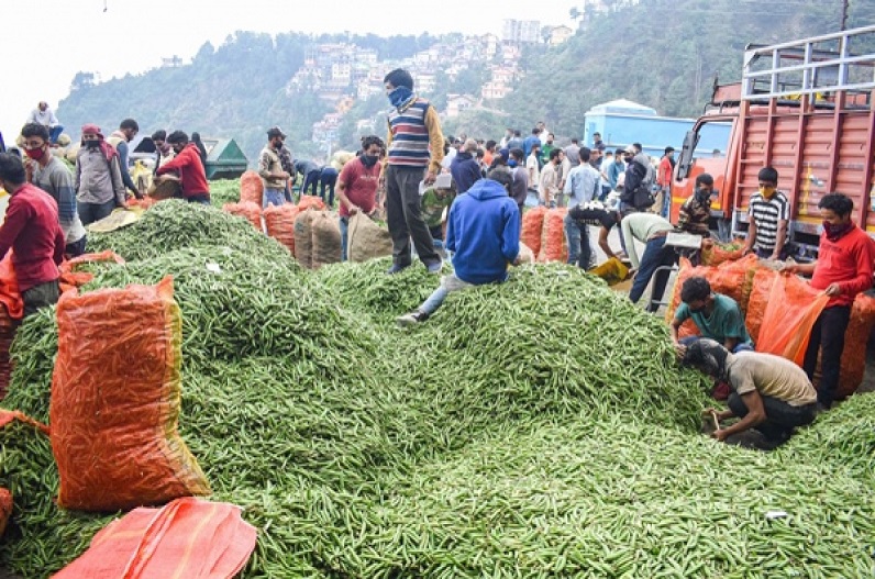 नहीं मिल रहे मुनासिब दाम, तो आक्रोशित किसानों ने राजधानी हाइवे पर किया चक्काजाम