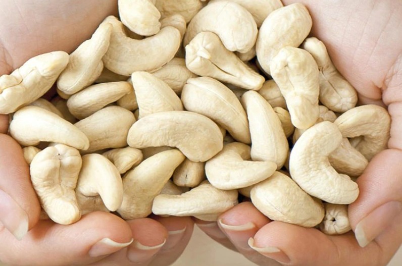 यहां 40 से 50 रुपए प्रतिकिलो मिल रहा काजू, जितना चाहे खरीद सकते है आप भी