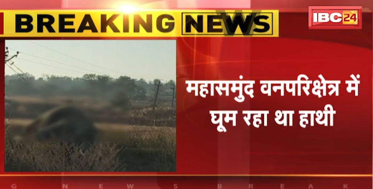 करंट लगने से एक हाथी की मौत। महासमुंद वन परिक्षेत्र में घूम रहा था हाथी