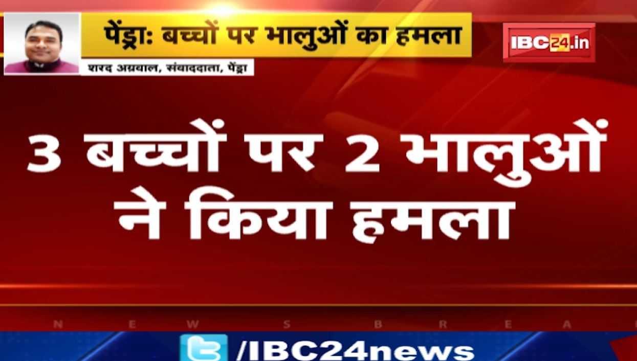 पेंड्रा में भालुओं का आतंक। 3 बच्चों पर 2 भालुओं ने किया हमला। 1 बच्चा घायल, 1 की हालत गंभीर