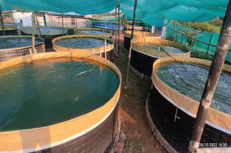 biofloc fish farming subsidy in chhattisgarh
