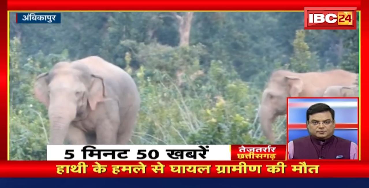 हाथी के हमले से घायल ग्रामीण की मौत। तेजतर्रार छत्तीसगढ़। Chhattisgarh Non Stop
