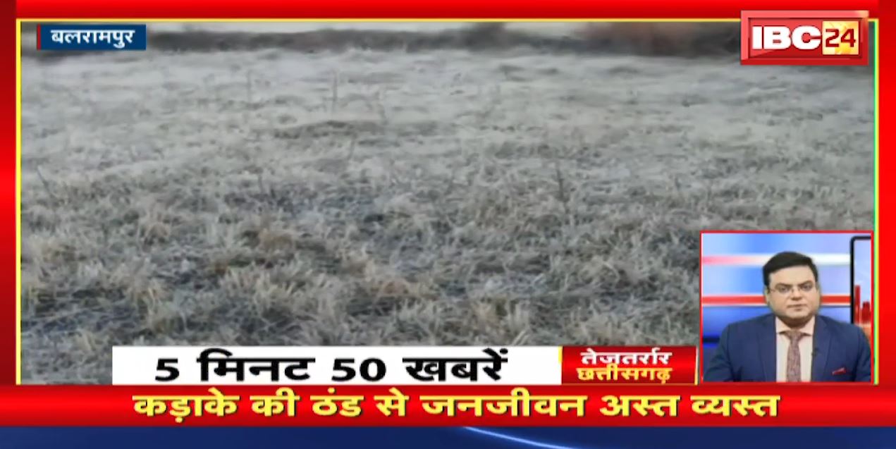 Chhattisgarh के इस जिले में कड़ाके की ठंड से जनजीवन अस्त व्यस्त । तेजतर्रार छत्तीसगढ़ । Chhattisgarh Non Stop News