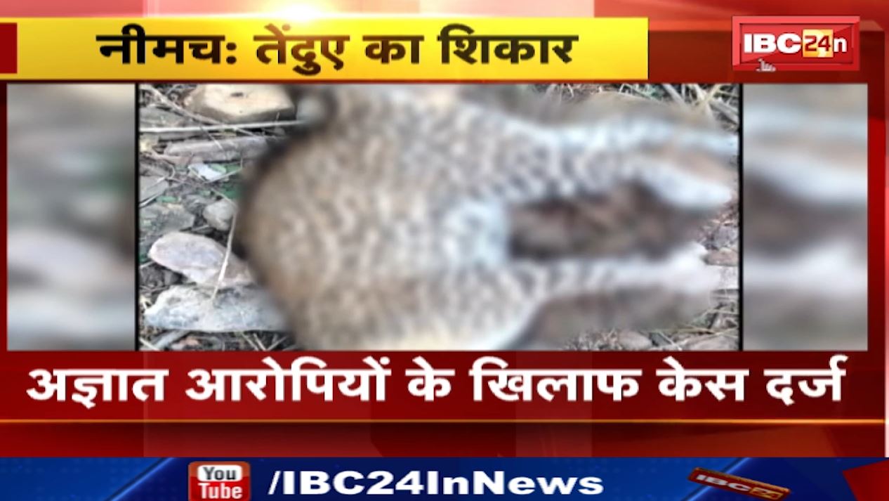 खेत में फंदे में फंसा मिला तेंदुए का शव। खेत मालिक को हिरासत में लिया गया
