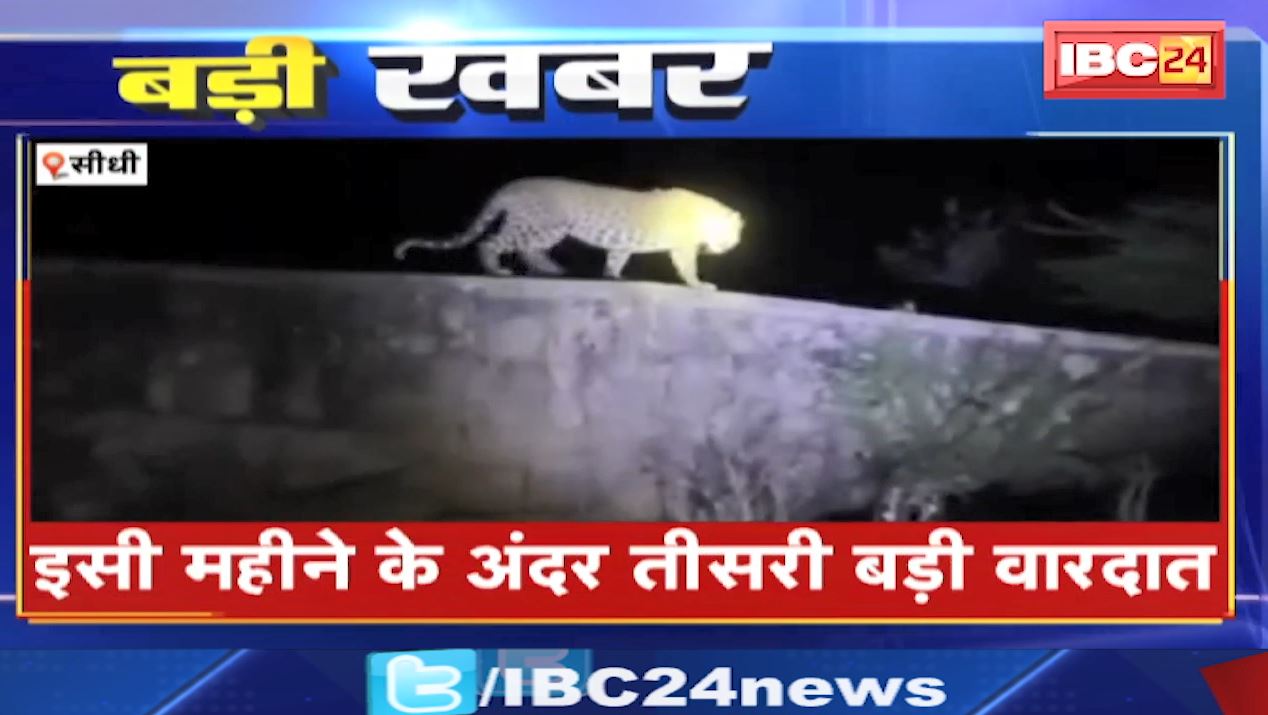 बाघ के हमले से पूर्व सरपंच की मौत। संजय टाइगर रिजर्व क्षेत्र में लगातार ग्रामीण बन रहे जंगली जानवरों का शिकार