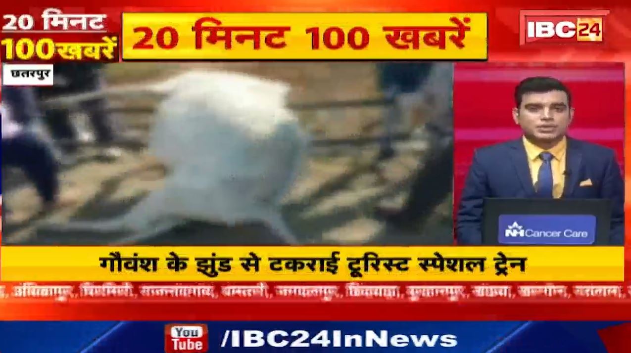 गौवंश के झुंड से टकराई टूरिस्ट स्पेशल ट्रेन। 20 Minute 100 News | MP-CG Latest News