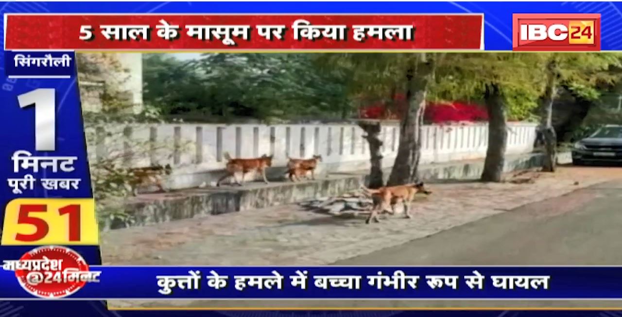 Madhya Pradesh@24 Minute : आवारा कुत्तों का आतंक  5 साल के मासूम पर किया हमला। Today Big News