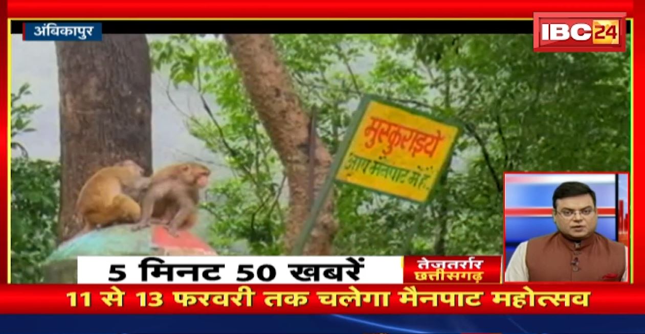 11 से 13 फरवरी तक चलेगा मैनपाट महोत्सव। तेजतर्रार छत्तीसगढ़ | Chhattisgarh Non Stop News