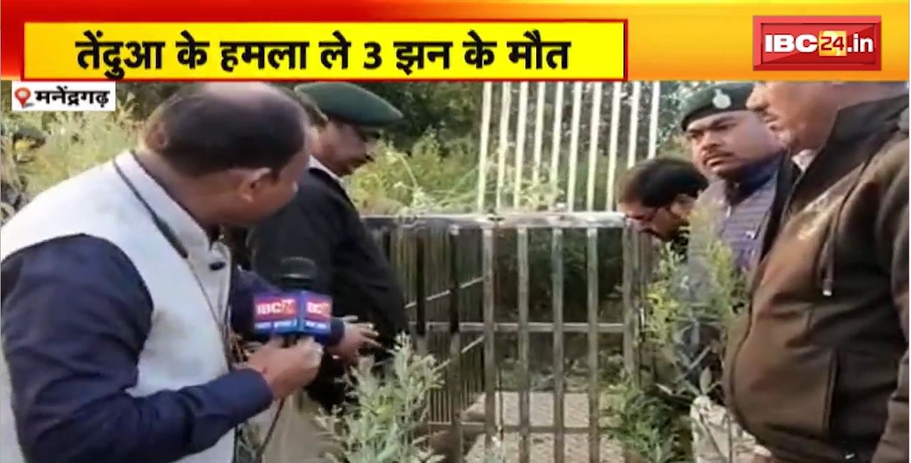 Manendragarh Leopard News : तेंदुआ के हमला ले 3 झन के मौत। आदमखोर तेंदुआ ले कोनो बचा लव