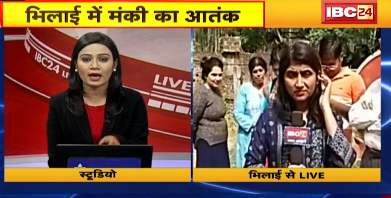 भिलाई के कैलाश नगर में 2 दिन से बंदरों ने मचाया उत्पात। बंद 9 से ज्यादा लोगों को कर चुका है जख्मी