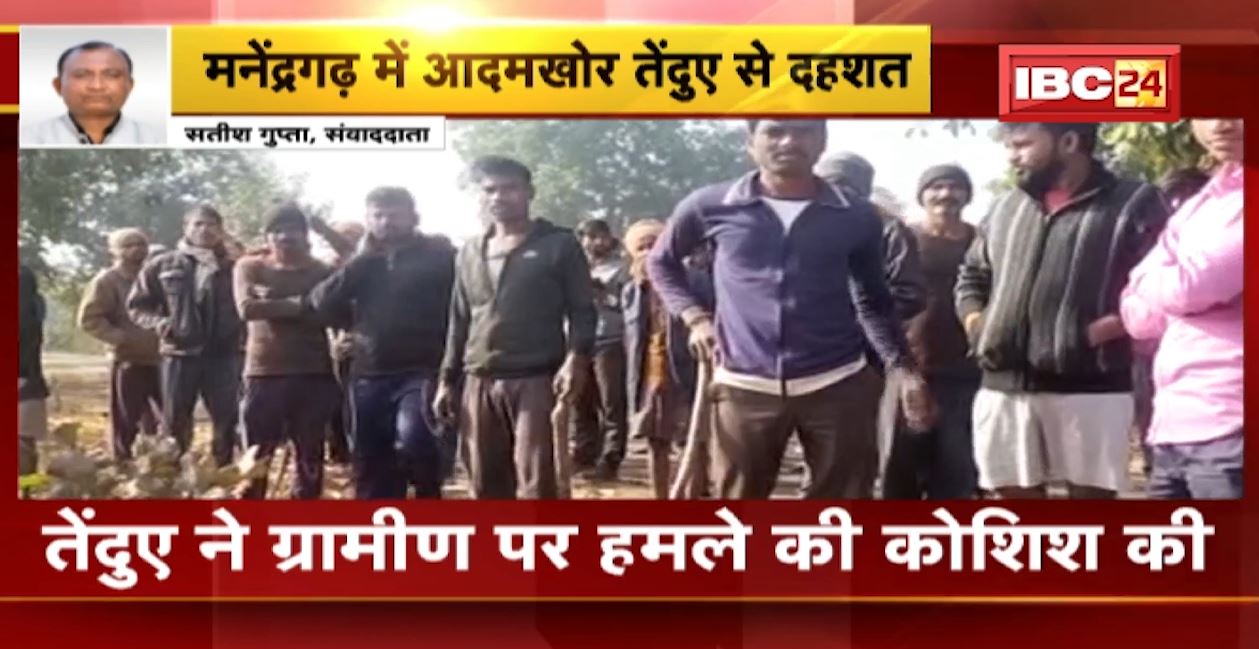 मनेंद्रगढ़ में आदमखोर तेंदुए से दहशत। तेंदुए ने ग्रामीण पर की हमले की कोशिश