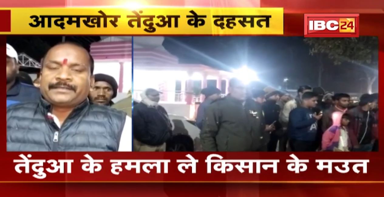 मनेंद्रगढ़ में आदमखोर तेंदुए की दहशत। कुंवारी गांव में तेंदुए के हमले से किसान की मौत