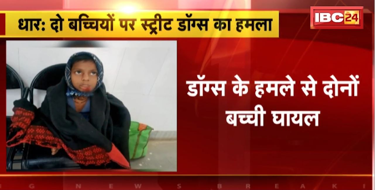 Dhar : दो बच्चियों पर Street Dogs का हमला। हमले में दोनों बच्ची घायल