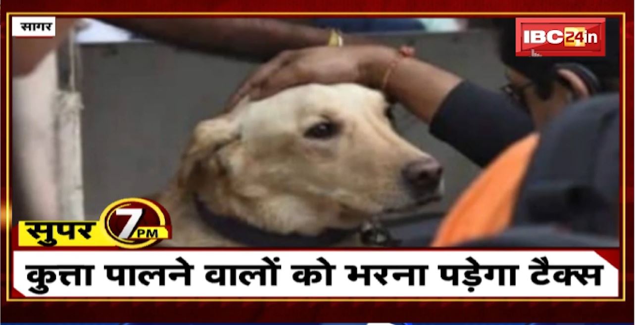 Super 7 PM : कुत्ता पालने वालों को भरना पड़ेगा Tax । 7 Big News Today । MP TOP News