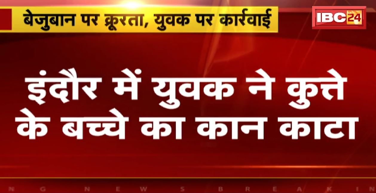 बेजुबान पर क्रूरता.. इंदौर में युवक ने कुत्ते के बच्चे का कान काटा। युवक पर पशु क्रूरता अधिनियम के तहत कार्रवाई