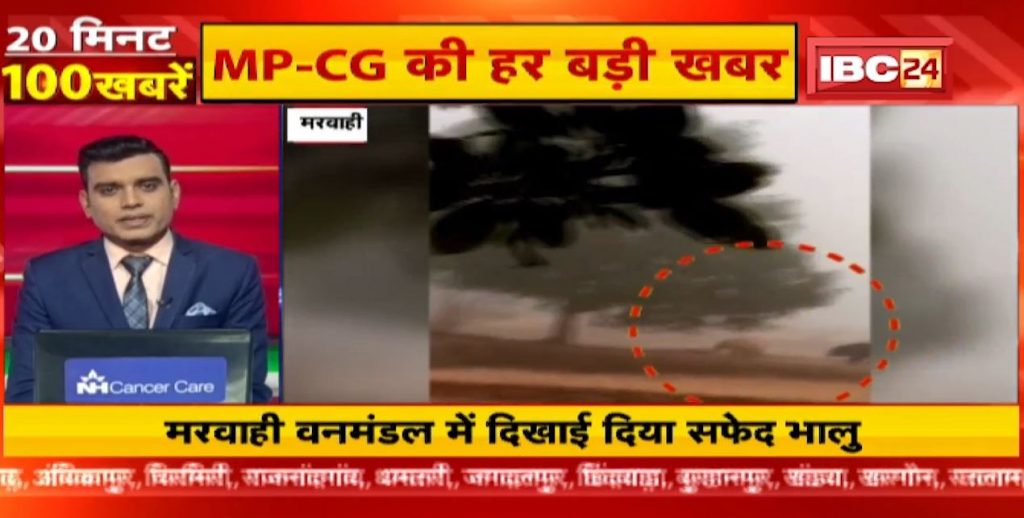 White bear seen in Marwahi Forest Division