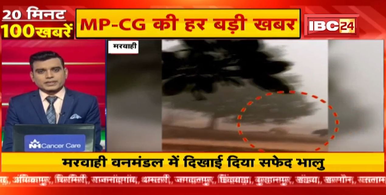मरवाही वनमंडल में दिखाई दिया सफेद भालु। 20 Minute 50 News | MP-CG Latest News