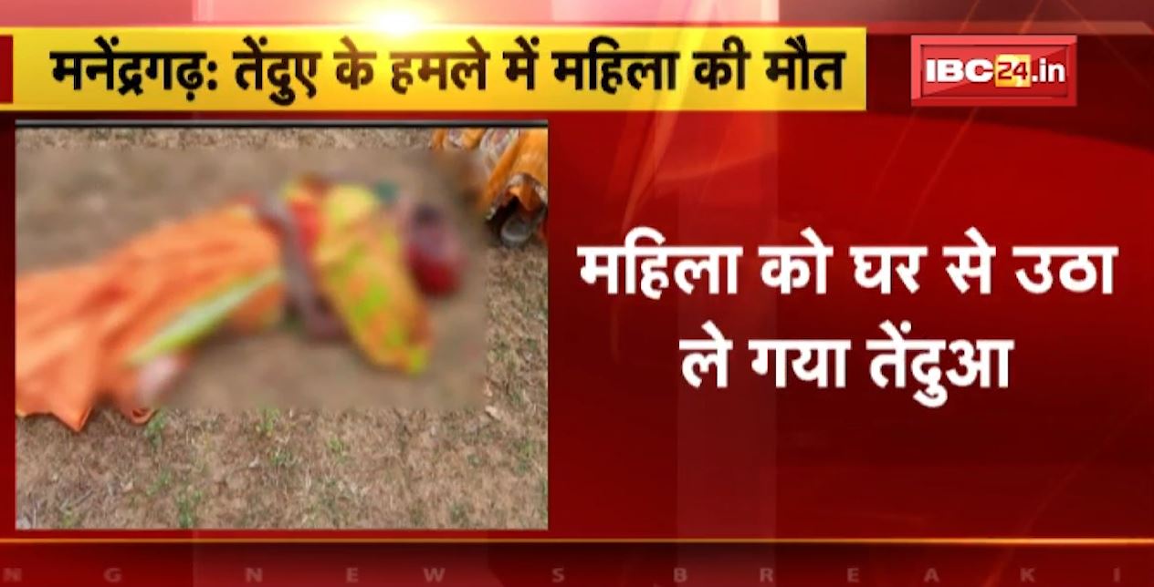 मनेंद्रगढ़ में तेंदुए के हमले से महिला की मौत। महिला को घर से उठा ले गया तेंदुआ