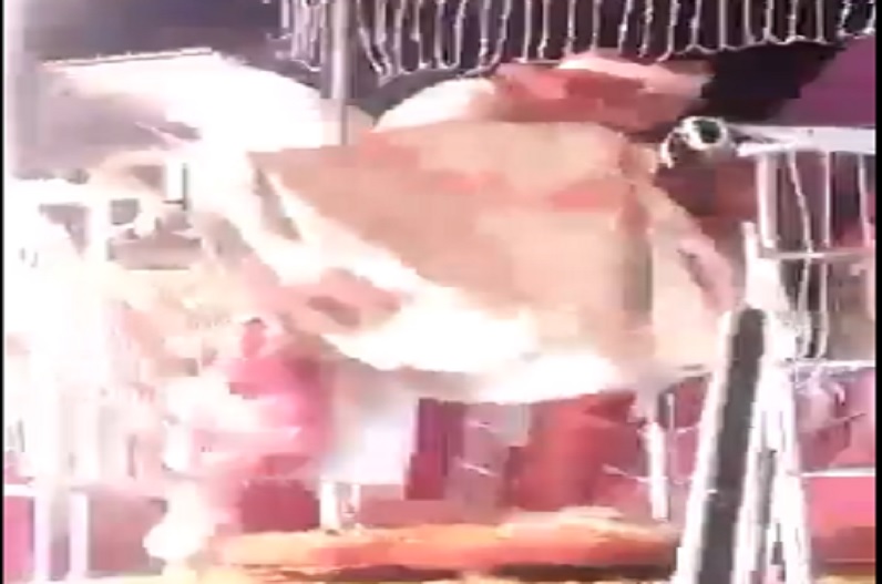 जयमाला के बाद स्टेज पर ही दूल्हे को आया जोश, दुल्हन के साथ करने लगा ऐसा काम, फिर हो गया ये कांड