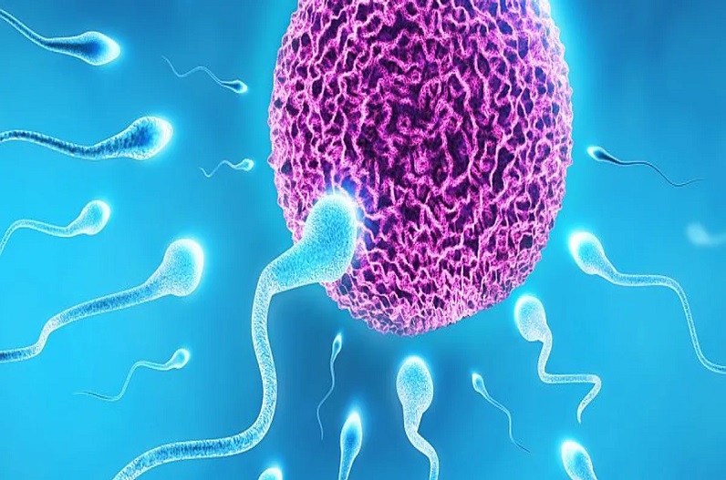 Covid Effect on Sperm: कोरोना से स्पर्म क्वॉलिटी पर पड़ रहा असर, नई स्टडी के खुलासे ने बढ़ाई पुरुषों की चिंता