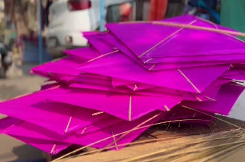 मकर संक्रांति के त्योहार के लिए वडोदरा में बनाई जा रही विशेष प्रकार की पतंगें , क्या आपने देखी…