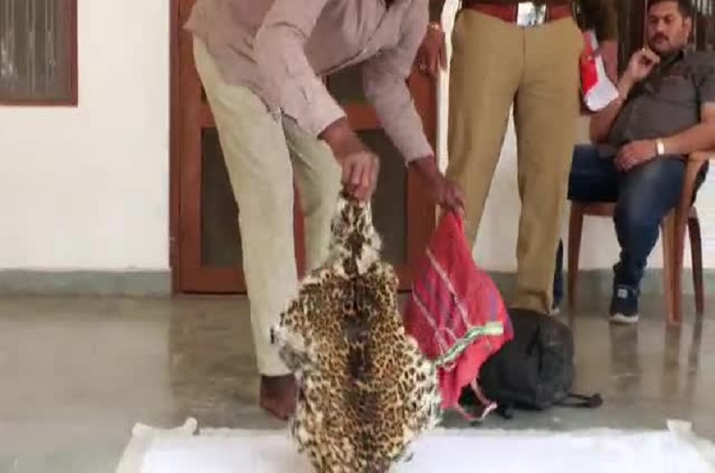 Forest department team arrested 4 accused of smuggling leopard skin