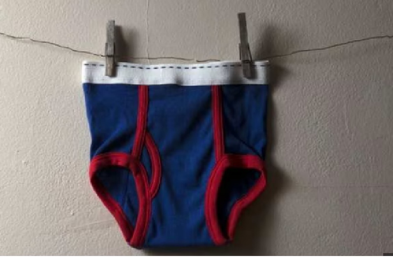 Actor's underwear in auction